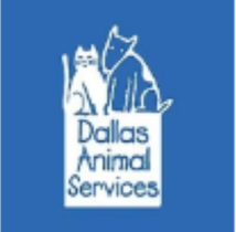 Dallas Animal Services